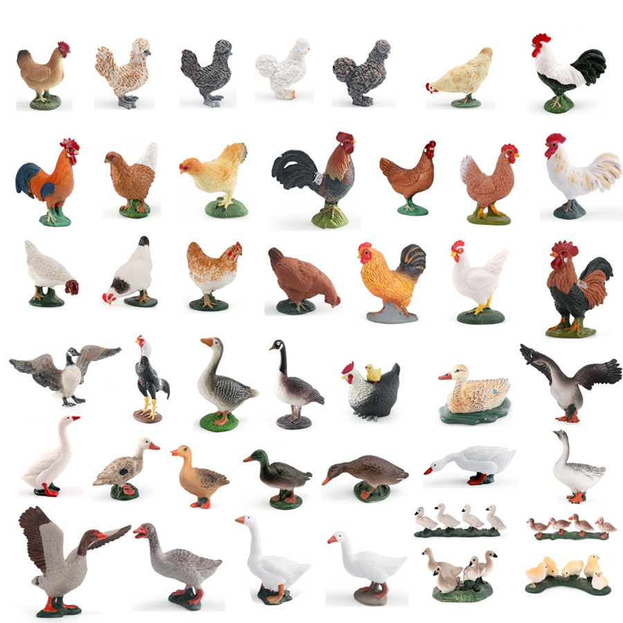 Home Improvement Kids - Simulation de ferme volaille, coq, poule,