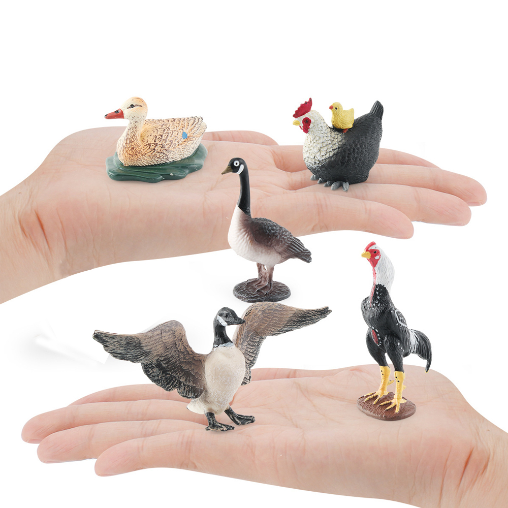 Simulation de ferme volaille,  - Home Improvement Kids avis et prix