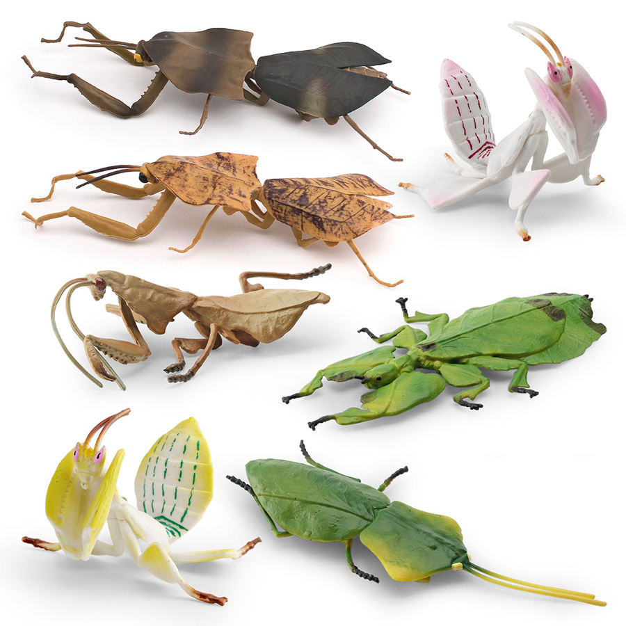 Modèle réaliste de Mantis Orch - Home Improvement Kids avis et prix
