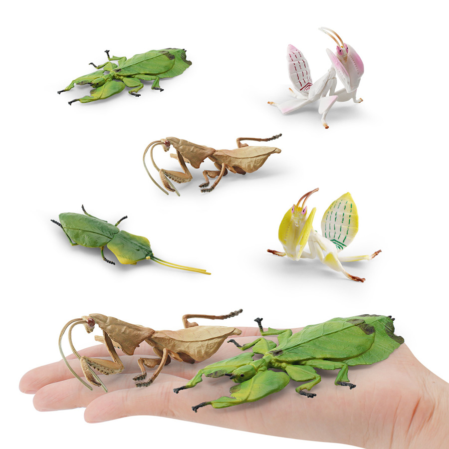Modèle réaliste de Mantis Orch - Home Improvement Kids avis et prix